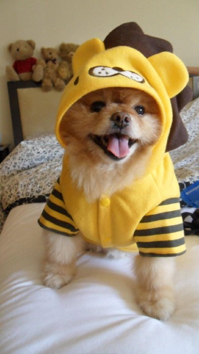 student2